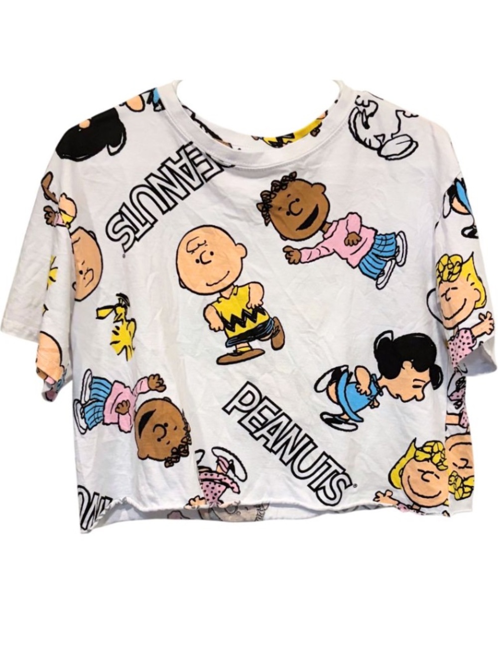 Peanuts Charlie Brown Crop Top